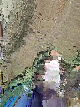 dickforpussyy online show from April 2026 05:52:01 AM