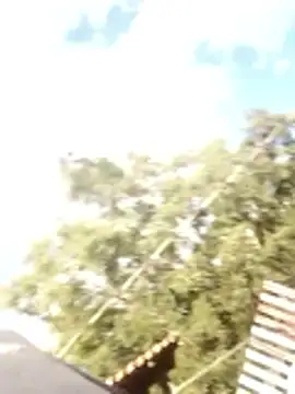 loonelw online show from April 2026 07:51:01 PM