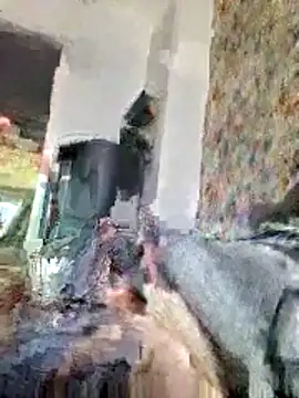 bellequeue147 online show from April 2026 10:54:01 AM