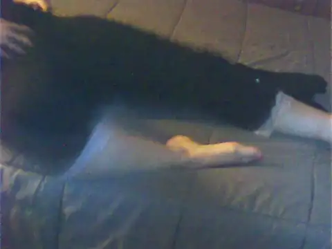 Cuginetti online show from April 2026 08:07:01 PM