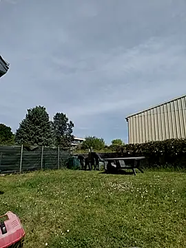 Osuleom29 online show from April 2026 01:25:02 PM