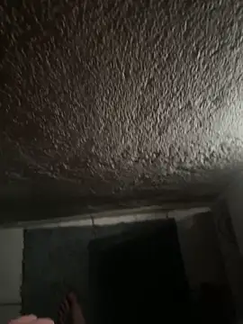 novinho0seu online show from April 2026 03:59:01 AM