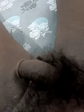 Peterhadly online show from April 2026 10:24:01 AM