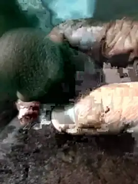 Peterhadly online show from April 2026 04:12:02 PM