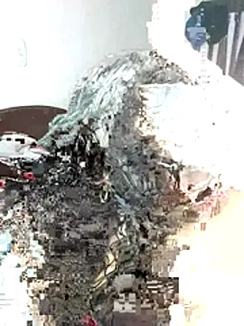 scaryfire online show from June 2026 08:15:01 PM