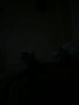 Snapshot of Timmy_T chatting on May 2026 01:12:01 AM Timmy T online show from May 2026 01:12:01 AM