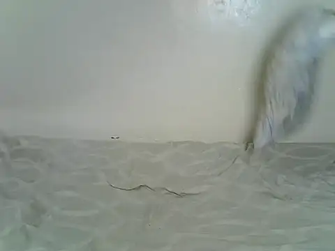 Sexxyfrey online show from June 2026 05:46:02 AM