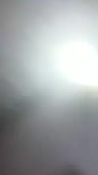 Dan harmor online show from June 2026 01:40:02 AM