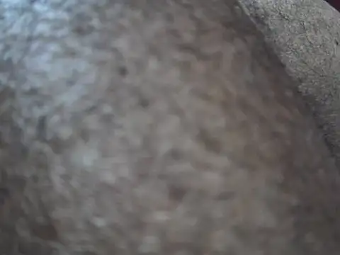 indiboy009 online show from March 2025 10:49:01 PM