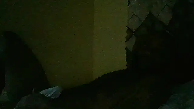 ZADDY 777 online show from June 2026 04:28:01 PM