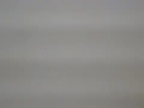 Luulu-69 online show from June 2026 12:28:02 PM