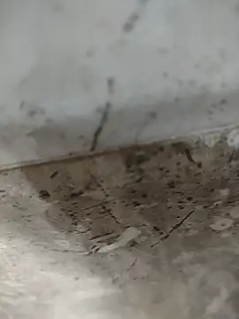 Prince Aamit online show from July 2026 06:38:01 AM