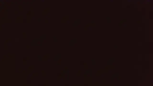 LatinoLeones online show from July 2026 07:04:02 AM