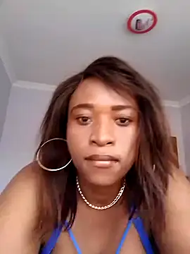 ChocStallion online show from July 2026 01:56:01 PM