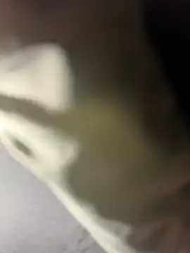 justinjulian online show from July 2026 01:25:02 AM