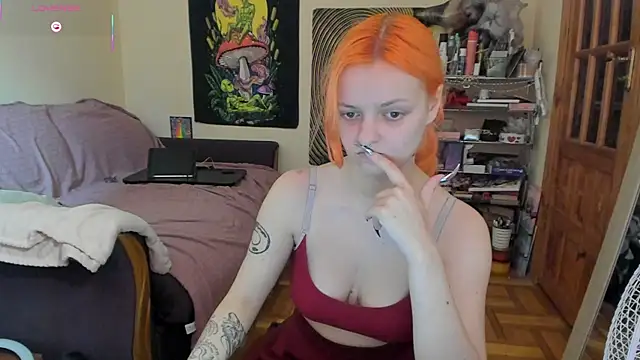 FoxFlame online show from August 2026 02:41:02 PM