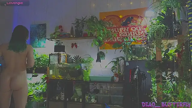 Snapshot of Dead_Butterfly chatting on January 2025 03:28:02 AM Dead Butterfly online show from January 2025 03:28:02 AM