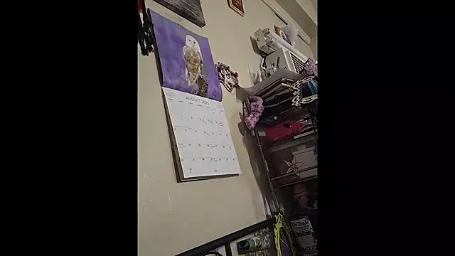 Snapshot of UncutHammer69 chatting on September 2025 03:24:01 PM UncutHammer69 online show from September 2025 03:24:01 PM