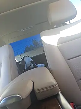 Snapshot of UncutHammer69 chatting on September 2025 04:12:02 PM UncutHammer69 online show from September 2025 04:12:02 PM