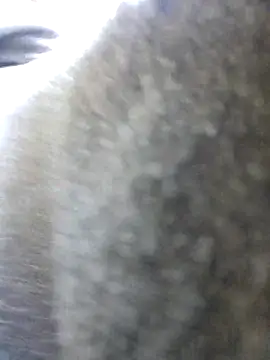 Snapshot of UncutHammer69 chatting on October 2025 11:53:01 PM UncutHammer69 online show from October 2025 11:53:01 PM