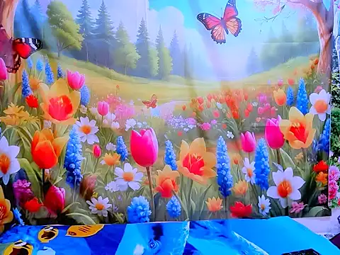 indianroxy online show from January 2026 08:30:01 AM