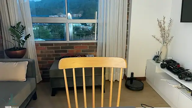 Snapshot of illaroom chatting on January 2025 11:15:02 PM illaroom online show from January 2025 11:15:02 PM