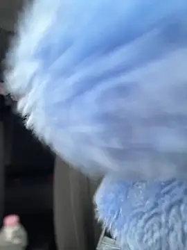 Snapshot of AnastasiaAniess chatting on February 2025 09:21:02 AM AnastasiaAniess online show from February 2025 09:21:02 AM