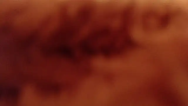 Snapshot of larawet chatting on January 2025 11:17:01 PM larawet online show from January 2025 11:17:01 PM