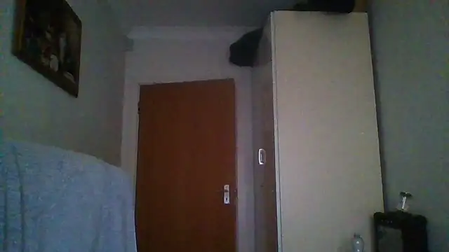 rauncher1 online show from November 2025 09:32:01 AM