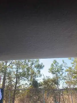 lolabunny9 online show from January 2025 04:30:01 PM