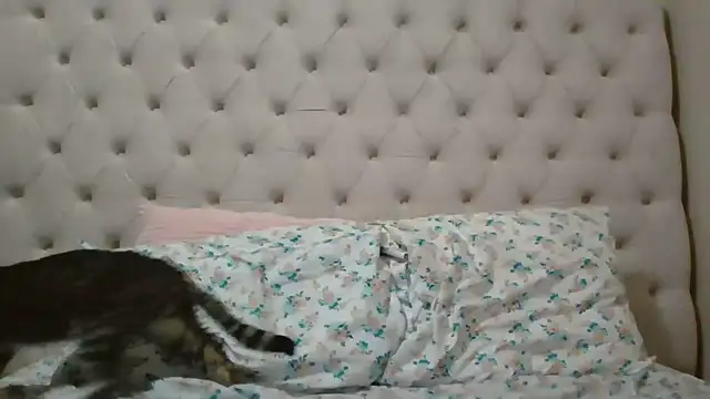 Snapshot of beautylovess chatting on February 2026 11:42:02 PM beautylovess online show from February 2026 11:42:02 PM