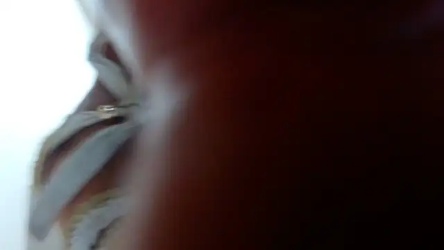 Ixchel Anaid online show from March 2025 12:10:01 AM