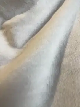 Aestheticsgirl online show from March 2026 07:47:02 AM