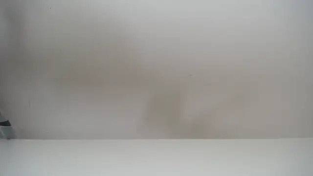 Snapshot of salomecastro_ chatting on November 2025 06:30:01 PM salomecastro online show from November 2025 06:30:01 PM