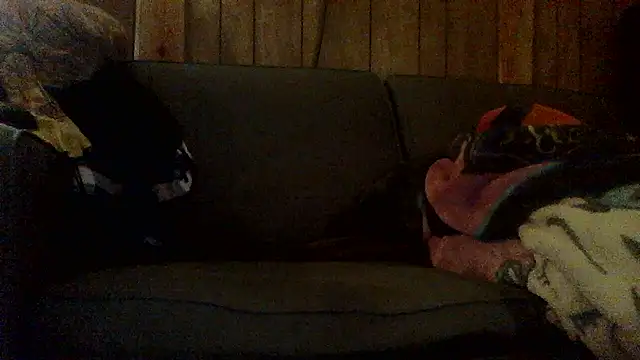 Ryoko Momoko online show from November 2025 02:46:02 AM