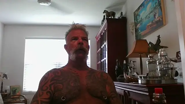 njdbear online show from September 2025 04:01:02 PM