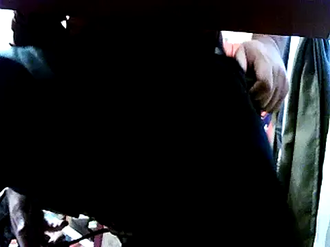 opreatiby online show from January 2025 02:02:02 PM