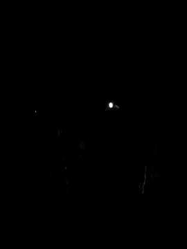 InMeinenMund online show from February 2026 06:28:02 PM