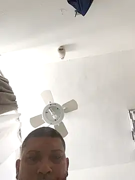 tropikboy online show from March 2026 01:57:02 PM