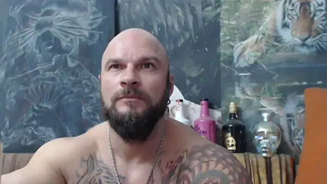 viking 30 online show from October 2025 07:42:02 PM