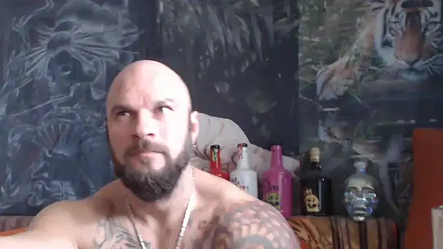 viking 30 online show from October 2025 07:45:02 AM