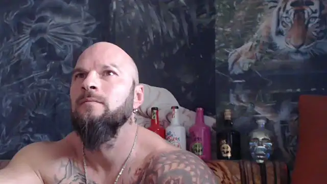 viking 30 online show from November 2025 11:10:01 AM