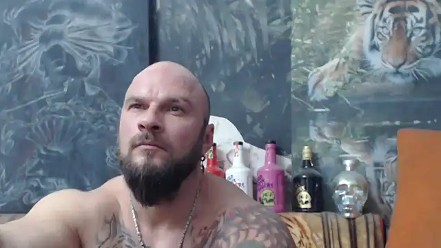 viking 30 online show from November 2025 07:56:02 PM