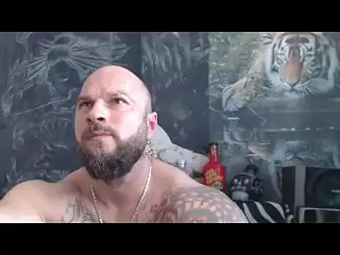 viking 30 online show from April 2026 10:33:01 AM