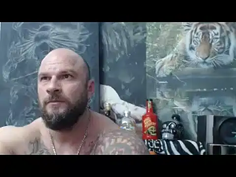 viking 30 online show from April 2026 06:19:02 PM