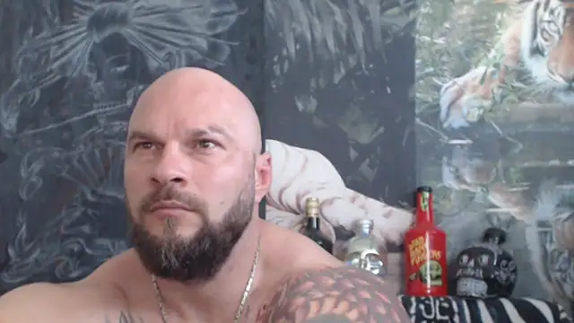 viking 30 online show from June 2026 06:37:02 AM