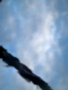 Model9798 online show from October 2025 02:28:02 PM