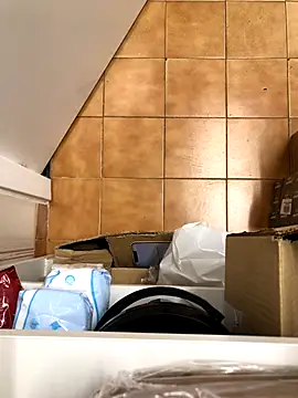 Snapshot of Mindnorthcam2 chatting on November 2025 07:36:02 AM Mindnorthcam2 online show from November 2025 07:36:02 AM