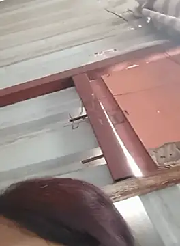 Snapshot of Manjushri35 chatting on September 2025 09:34:01 AM Manjushri35 online show from September 2025 09:34:01 AM