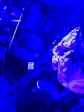 Snapshot of justinewe69 chatting on September 2025 03:31:01 AM justinewe69 online show from September 2025 03:31:01 AM